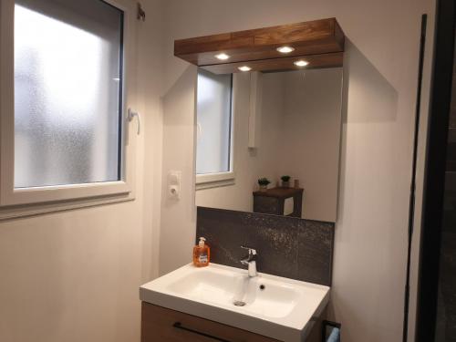 a bathroom with a sink and a mirror at Logis Coeur de Bretagne in Bieuzy-les Eaux