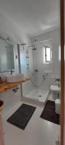 a bathroom with a glass shower and a sink at Gio st Gio apartment 1 Antiparos st.Giorgio in Andiparos