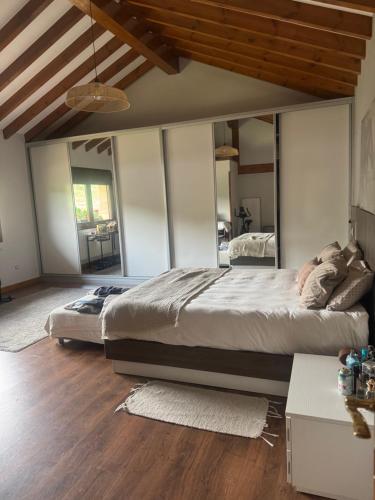 a bedroom with a large bed and a large mirror at Casa de campo La siberia 