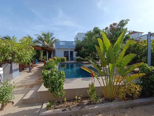 a swimming pool in a yard with trees and plants at Guorgui's bed in Ndangane