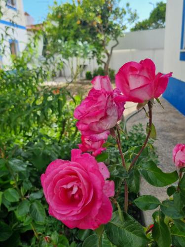 CASA DA ANONEIRA by Stay in Alentejo