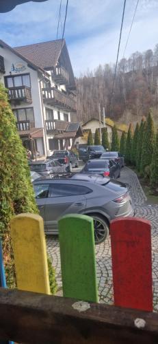 a group of cars parked in a parking lot at Bradutul de la Munte in Bran