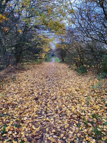 Φυσικό τοπίο κοντά σε αυτή η παραθεριστική κατοικία