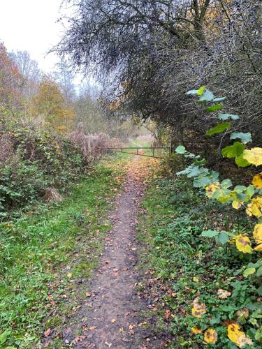 Φυσικό τοπίο κοντά σε αυτή η παραθεριστική κατοικία