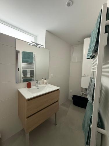 Koupelna v ubytování Appartement 2 pièces neuf Toul proche gare