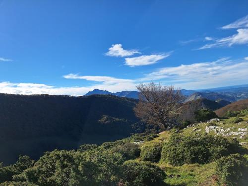 uitzicht op een berg met bomen en een meer bij logement moderne in Campan