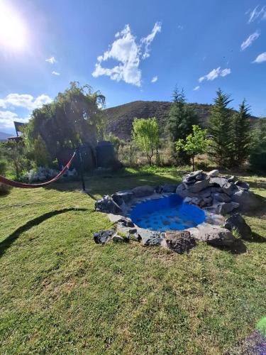 a small pond in the middle of a grassy field at Cabañas Casa Verde in Potrerillos