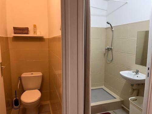 a bathroom with a toilet and a sink and a shower at Studio 24h24 & 7j7 in Petite Île