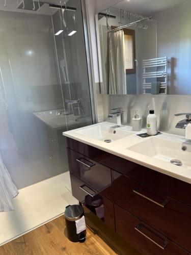 een badkamer met een douche, 2 wastafels en een spiegel bij la Crémesine in Baratier