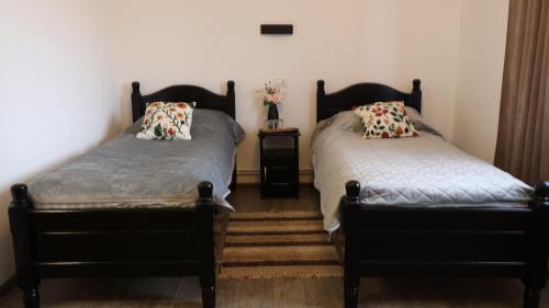 Φωτογραφία από το άλμπουμ του Coltul Verde de pe Deal 