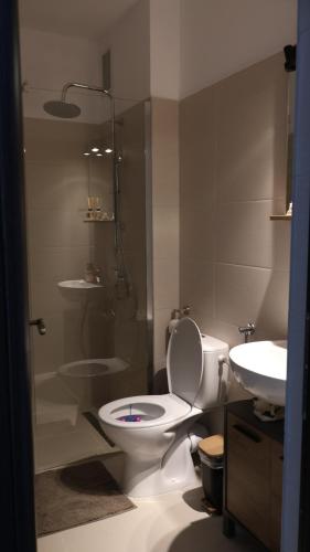 ein Badezimmer mit Toilette, Dusche und Waschbecken in der Unterkunft Coltul Verde de pe Deal 