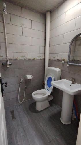 a bathroom with a toilet and a sink at Hostel le Coin d'Or in Fort de lʼEau