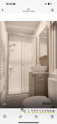 a bathroom with a shower and a toilet and a sink at Luxus Chalet Wattenmeerblick in Westerland