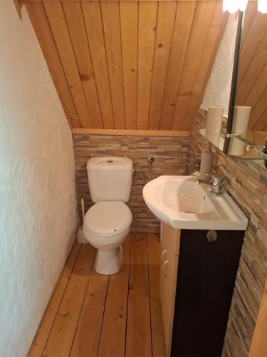 Koupelna v ubytování Domek Orawiok