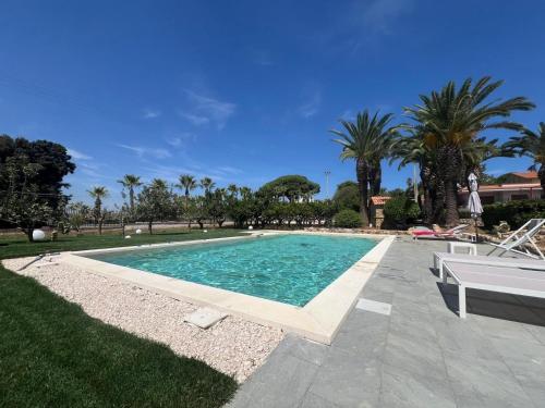 a swimming pool in a yard with palm trees at Le Palme B&B in Salemi