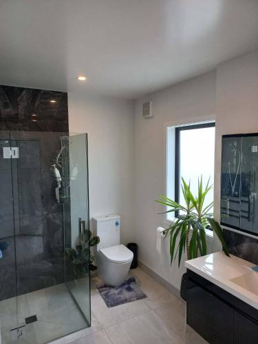 a bathroom with a toilet and a shower and a sink at Awesome accomodation-Aokautere in Palmerston North