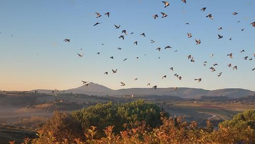 Příroda nedaleko apartmánu