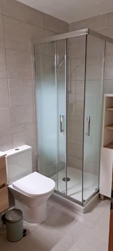 a bathroom with a toilet and a glass shower at Studio Bellevue Veysonnaz in Veysonnaz
