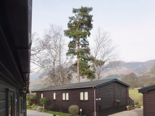 a wooden cabin with a tree in the background at Acorn Lodge - Burnside Park in Keswick