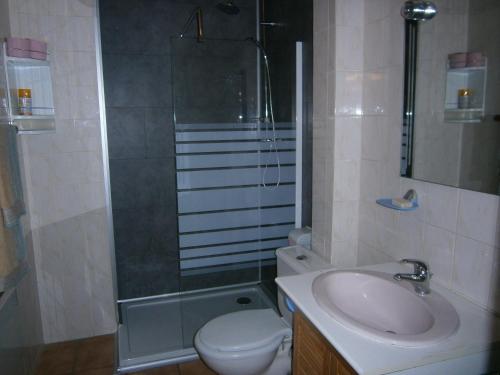 ディーフェンタールにあるGite Au Nid De Cigognesのバスルーム(洗面台、トイレ、シャワー付)