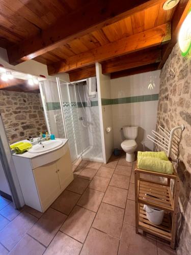 a bathroom with a sink and a toilet at Gîtes de la chocolaterie in Viré
