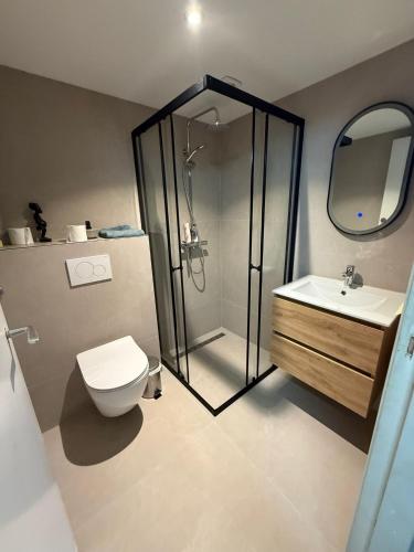 a bathroom with a shower and a toilet and a sink at Het werkhuis, terug in de tijd in Uden