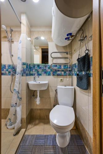 a bathroom with a toilet and a sink at Poilsis Preiloje-91 in Neringa