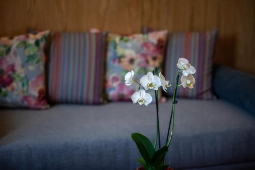 Fotografie z fotogalerie ubytování Εσπερίδες v destinaci Nausa