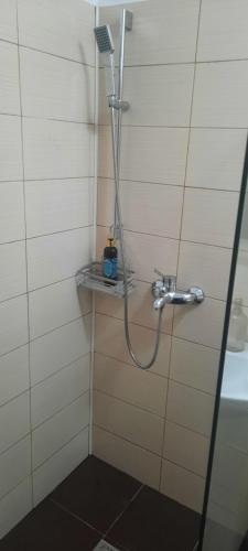 a shower in a bathroom with a shower head at Garsoniera Mihaela in Craiova