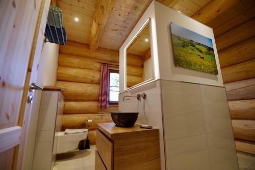 ein Badezimmer mit Toilette und Waschbecken in der Unterkunft Blockhaus Eifelstern in Blankenheim