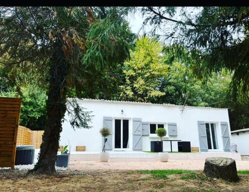 une maison blanche avec un arbre devant dans l'établissement Lamaisondubois31, à Pibrac
