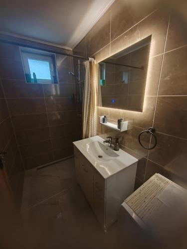 a bathroom with a sink and a mirror at Sobe i apartman Berecz in Kopačevo