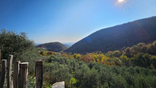 صورة لـ Poggio del Sole في باسّانو ديل غرابّا