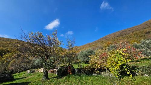 صورة لـ Poggio del Sole في باسّانو ديل غرابّا