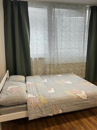 una cama en un dormitorio con ventana en TM Apartment Prijedor, en Prijedor