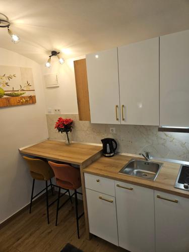 Apartment Maja - Strict center of Zagreb