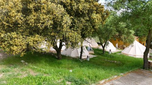 Zahrada ubytování Glamping La Bellota