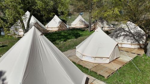 eine Gruppe weißer Zelte auf einem Feld in der Unterkunft Glamping La Bellota 
