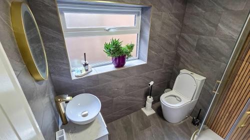 Garden Gazebo, Free Parking & 20 minutes walk to City photo 17