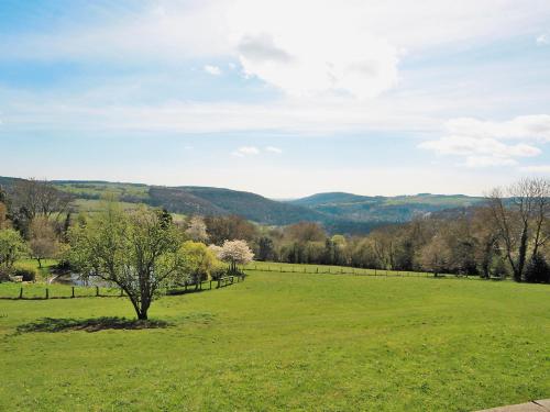un champ vert avec un arbre au milieu dans l'établissement Spring Cottage - Hw7734, à Tintern