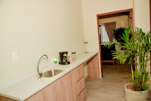 eine Küche mit einer Spüle und einer Theke mit Pflanzen in der Unterkunft Bungalow Campo Playa Arena in Chincha