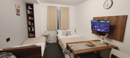 Μια τηλεόραση ή/και κέντρο ψυχαγωγίας στο Daisy Apart SKI OUT SKI IN Vila Bela Reka Brzece