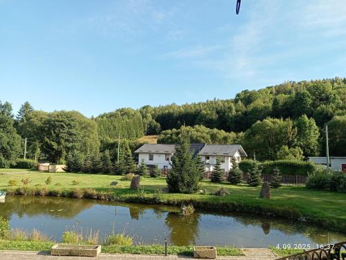 a house in a field with a pond at Streamside apartment in Jarkowice