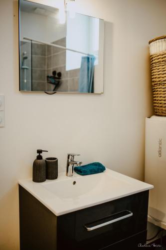 a bathroom counter with a sink and a mirror at La bogue in Vals-les-Bains