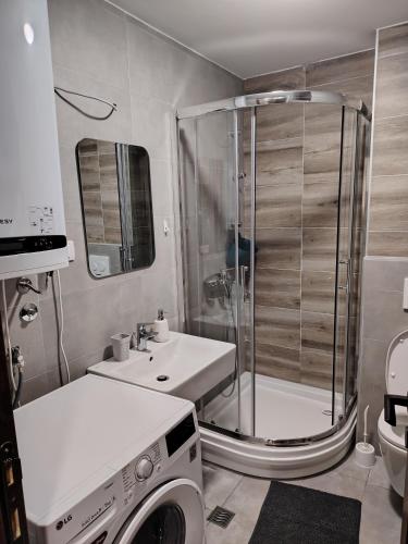 a bathroom with a shower and a washing machine at Stela Divcinova in Divčibare