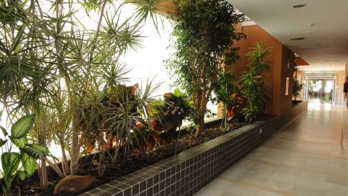 a hallway lined with plants in a building at Arena Center in Roquetas de Mar