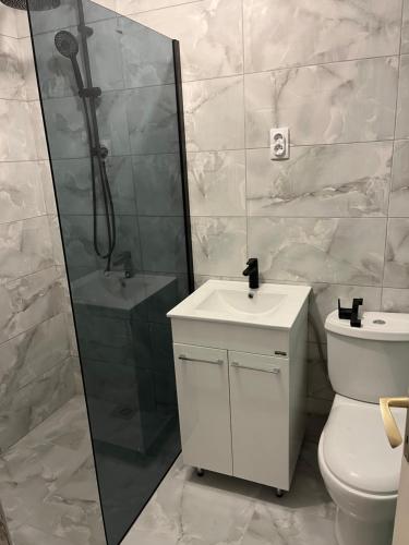 a bathroom with a shower and a toilet and a sink at Kuća za odmor Sremac in Apatin