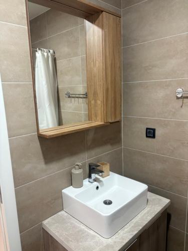 コパオニクにあるApartman The Nestの白い洗面台と鏡のあるバスルーム