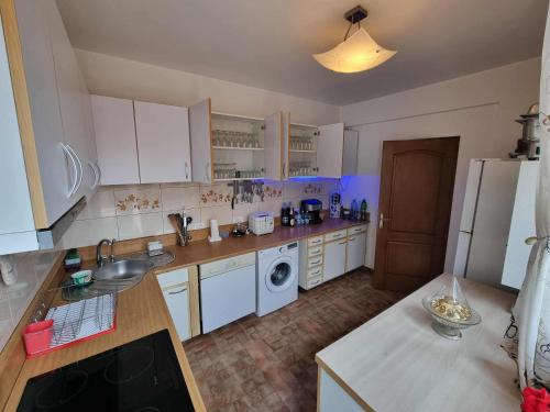 a kitchen with white cabinets and a sink and a refrigerator at Elysium Zenith Estate in Cornu de Jos