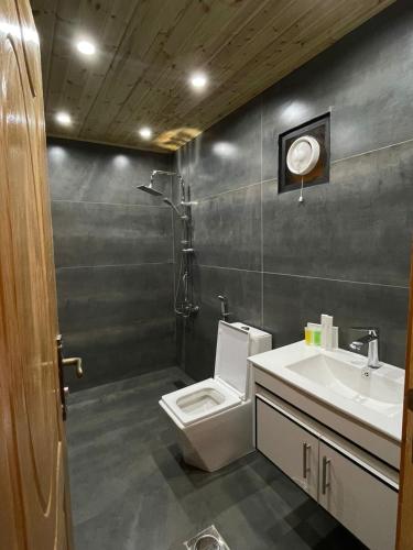 a bathroom with a toilet and a sink at Cherry hut in Ajloun